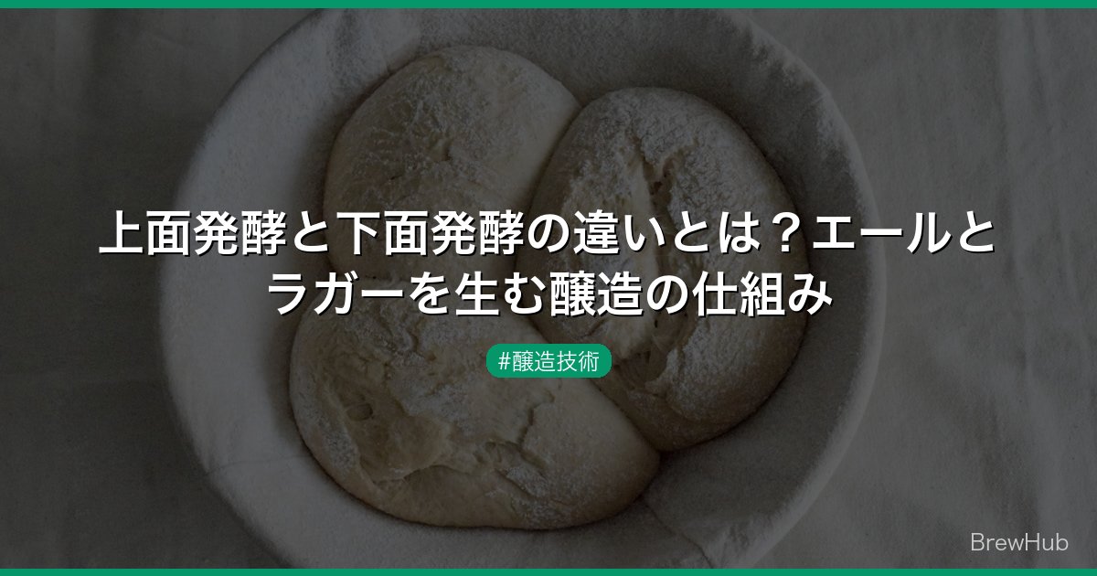 上面発酵と下面発酵の違いとは？エールとラガーを生む醸造の仕組み