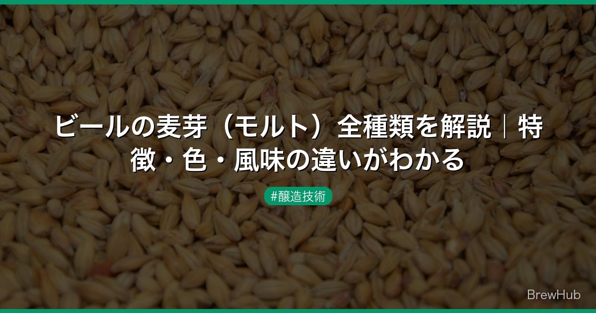 ビールの麦芽（モルト）全種類を解説｜特徴・色・風味の違いがわかる