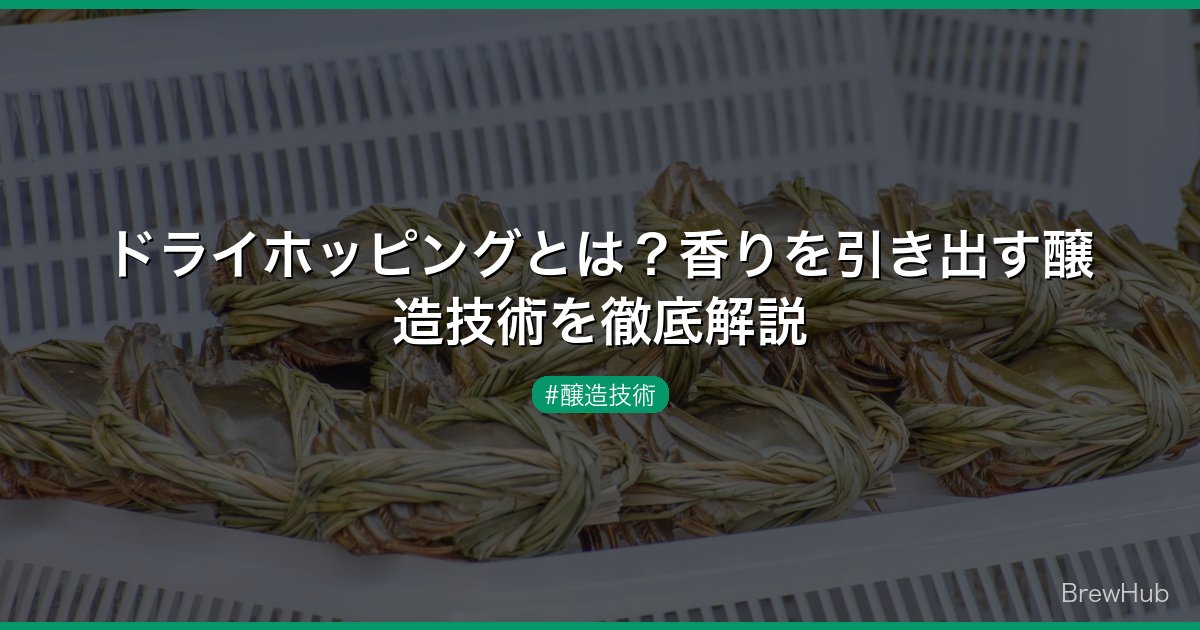 ドライホッピングとは？香りを引き出す醸造技術を徹底解説
