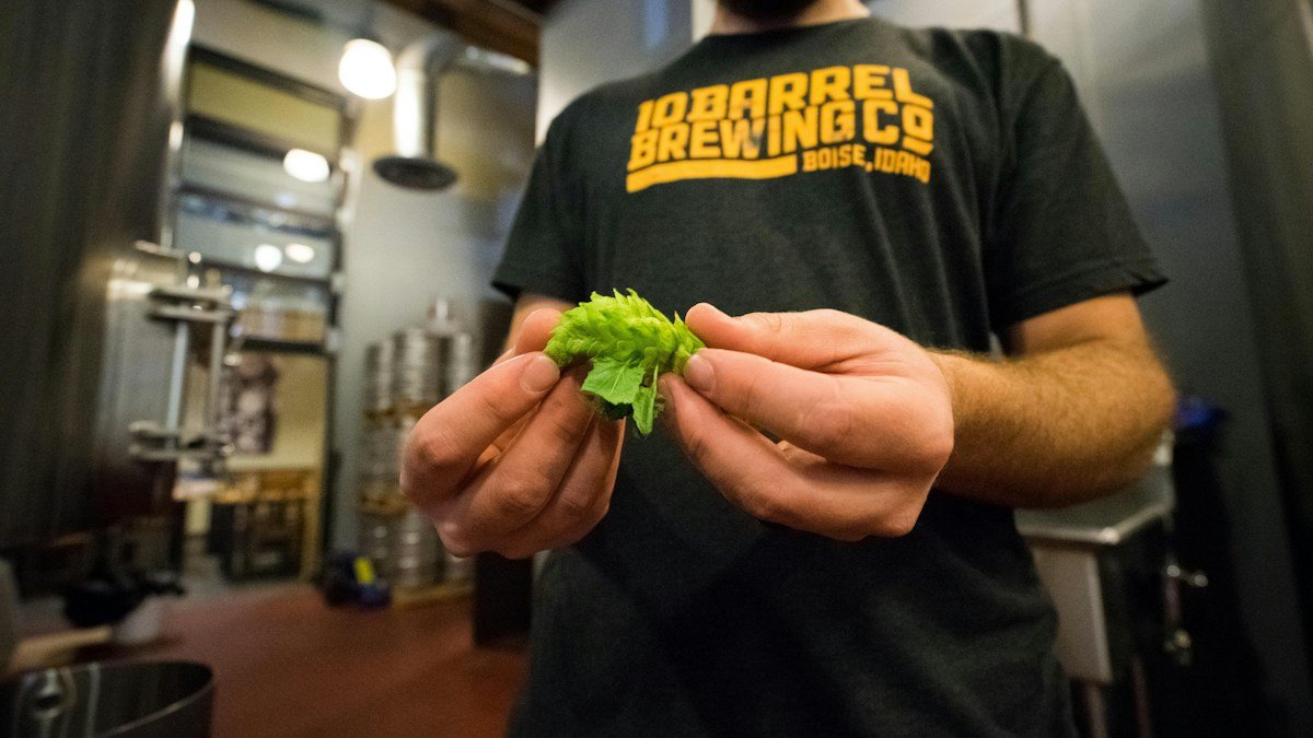 unknown toyfull brewery kurume guide h2 02