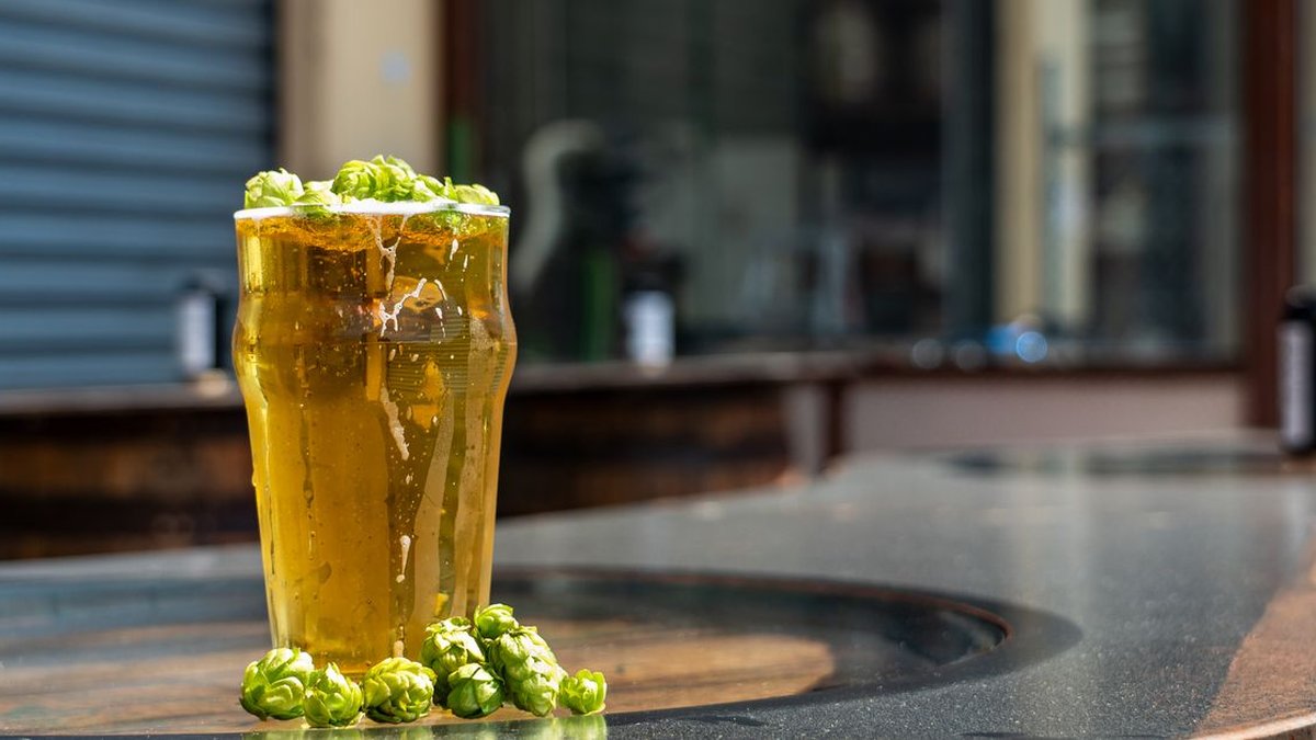 2026 10 18 fresh hop beer 2026 guide h2 02