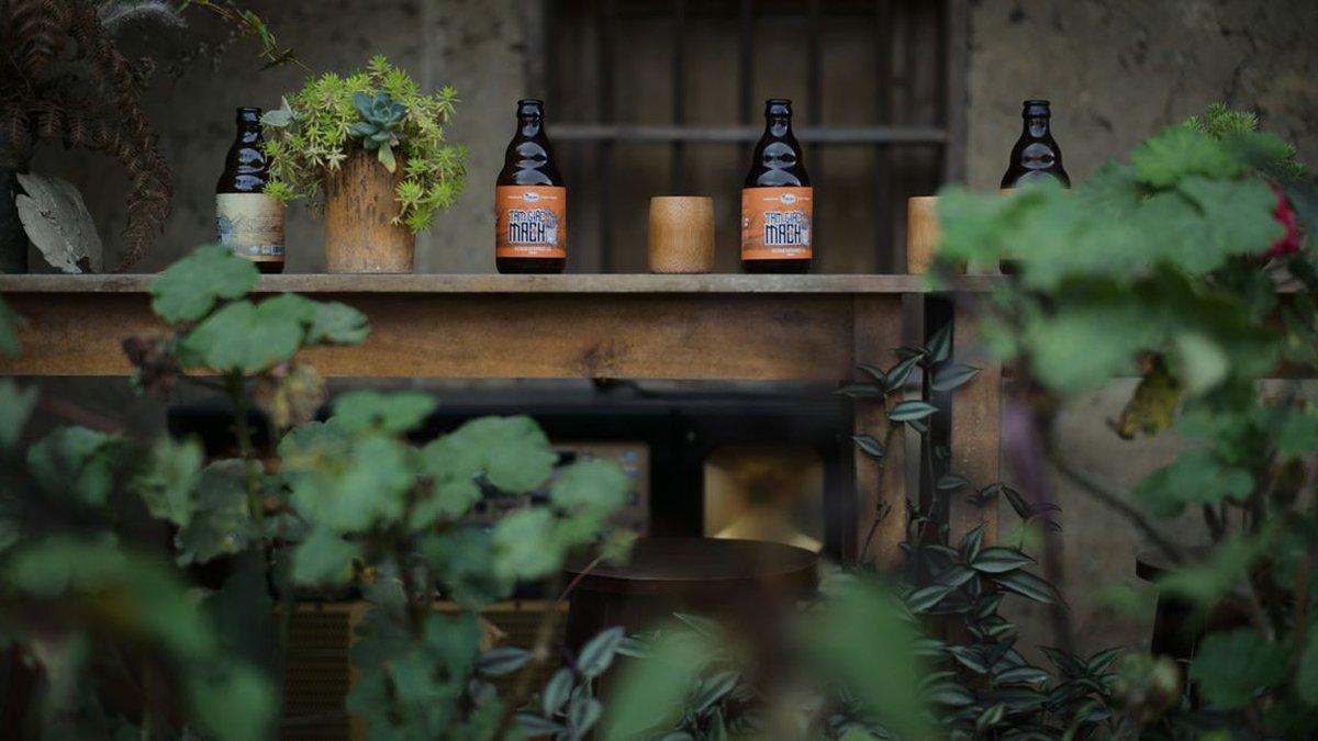 2026 10 21 golden rabbit beer shijonawate guide h2 04